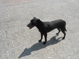 World Trip Week 1 053