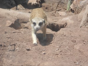 World Trip Week 1 079