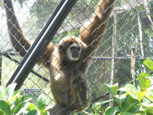 World Trip Week 1 089