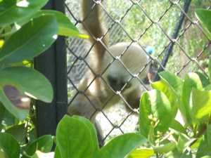 World Trip Week 1 095