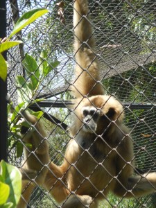 World Trip Week 1 105