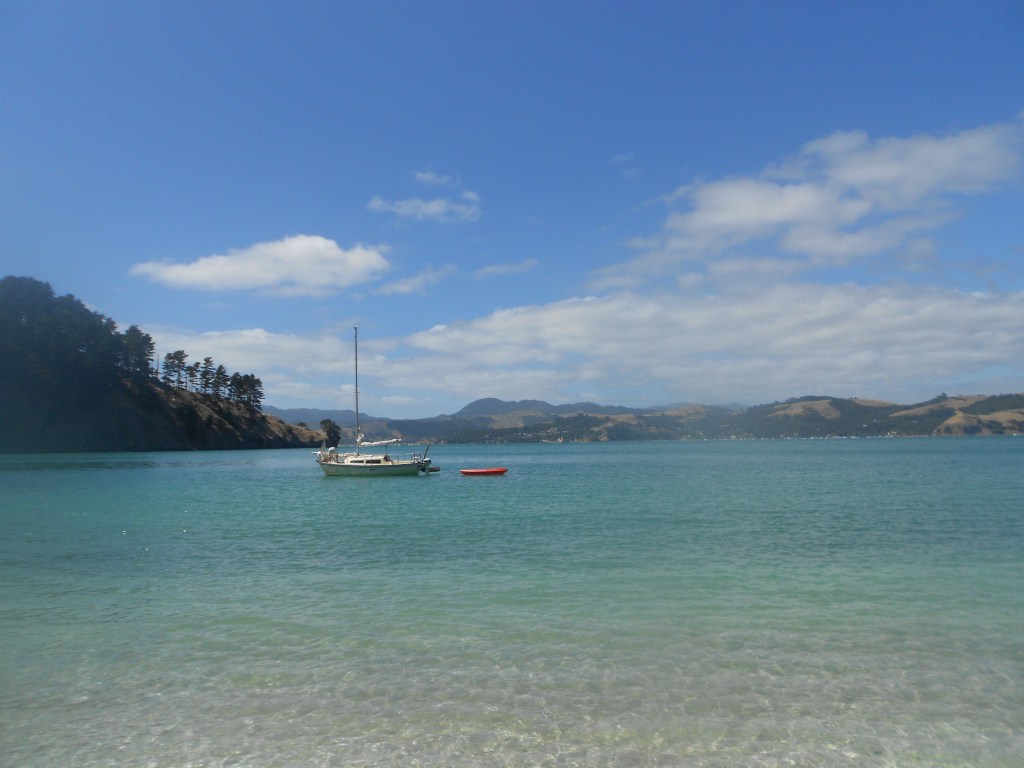 Sorry Mom, I Went on a Boat with a Stranger in&nbsp;Coromandel