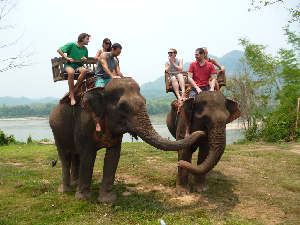 A Shitty Day of Elephant Riding in Luang&nbsp;Prabang